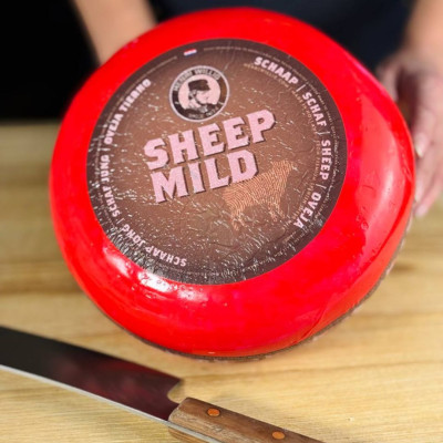 sheep's milk